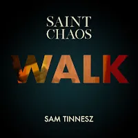 Saint Chaos — Walk Ft Sam Tinnesz — обложка